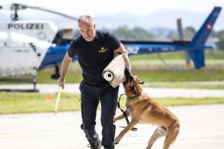 La formation des chiens doit être davantage contrôlée selon le Conseil d'Etat valaisan (photo d'illustration). KEYSTONE/ALEXANDRA WEY